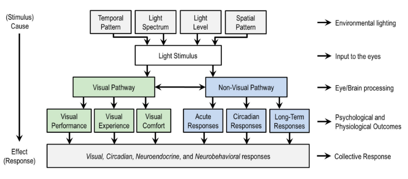 Guide doc Interior V2.1.pub - Publication Interior Lighting Guide V3.0.pdf Guide doc Interior V2.1.pub - Publication Interior Lighting Guide V3.0.pdf
